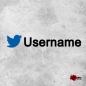 Preview: Twitter Username